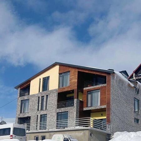 Dandelion Hotel Gudauri Ganisi 외부 사진