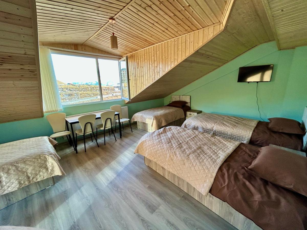 Dandelion Hotel Gudauri Ganisi 외부 사진