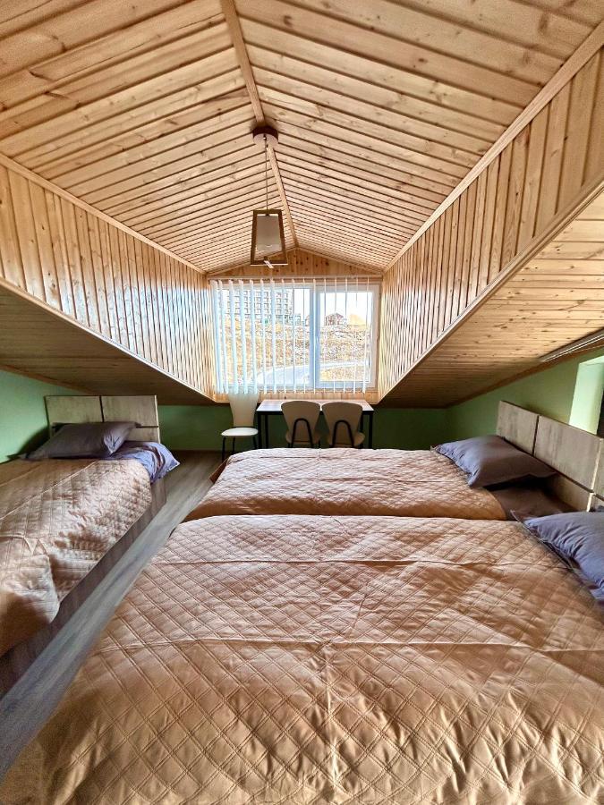 Dandelion Hotel Gudauri Ganisi 외부 사진