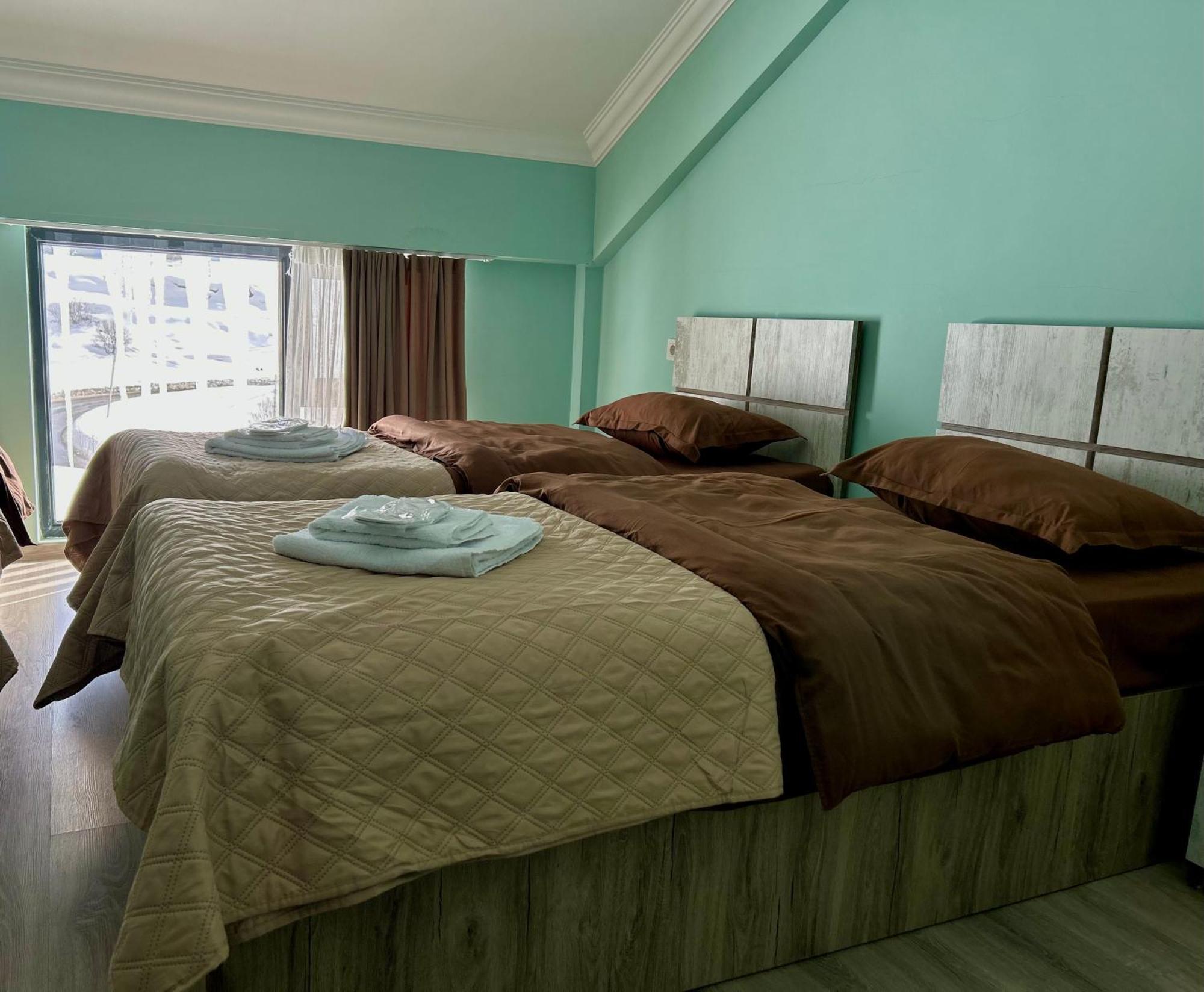Dandelion Hotel Gudauri Ganisi 외부 사진